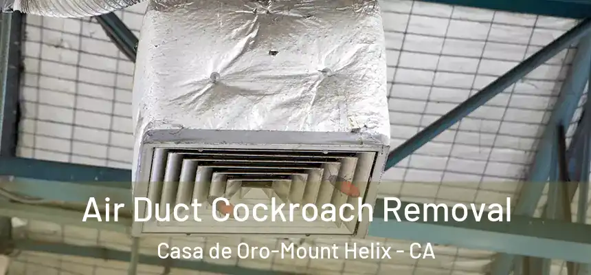Air Duct Cockroach Removal Casa de Oro-Mount Helix - CA