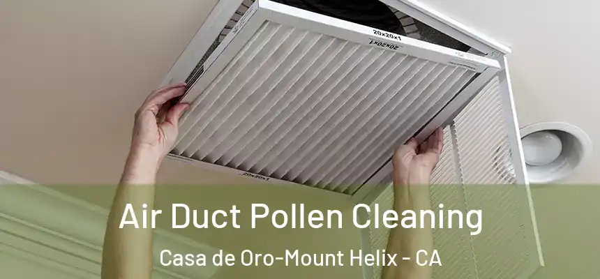 Air Duct Pollen Cleaning Casa de Oro-Mount Helix - CA