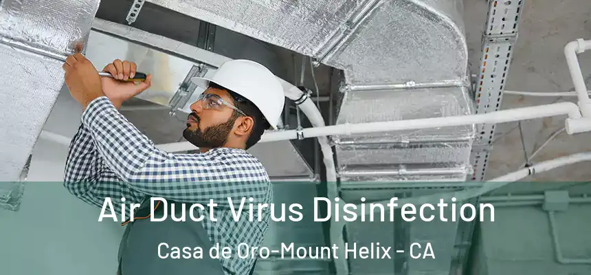  Air Duct Virus Disinfection Casa de Oro-Mount Helix - CA