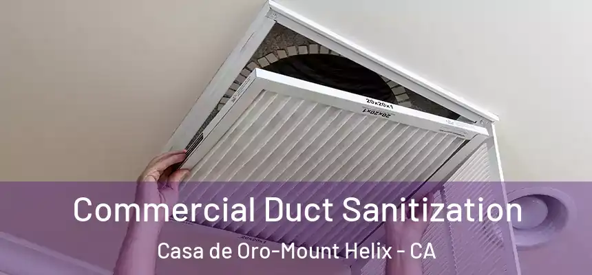 Commercial Duct Sanitization Casa de Oro-Mount Helix - CA
