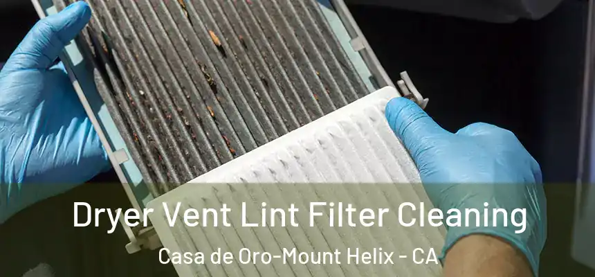 Dryer Vent Lint Filter Cleaning Casa de Oro-Mount Helix - CA