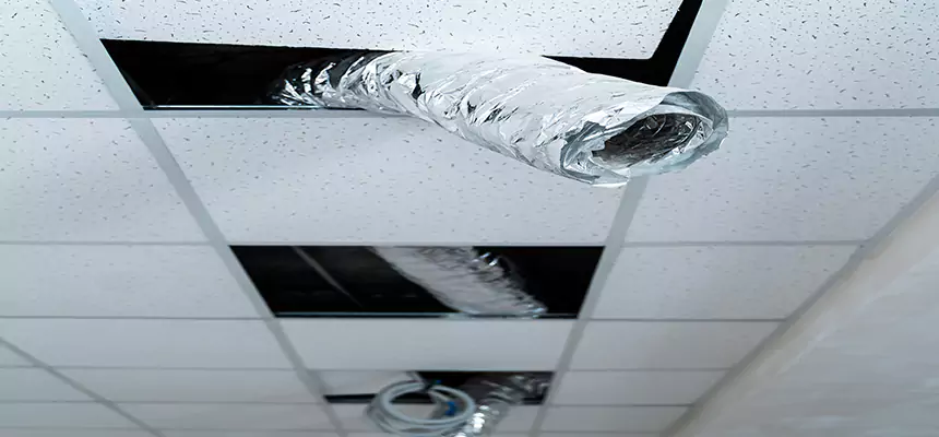 Affordable HVAC Sanitizing After Pest Removal in Casa de Oro-Mount Helix