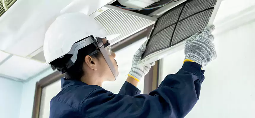 Our Mold & Mildew Removal from Air Ducts Services in Casa de Oro-Mount Helix, CA