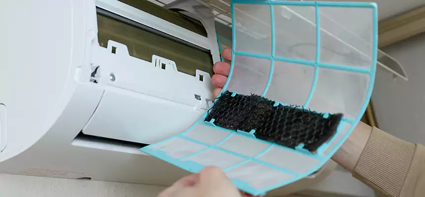 Gentle Ductwork Odor-Control Pet Dander Duct Cleaning in Casa de Oro-Mount Helix, CA