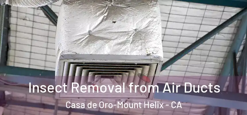  Insect Removal from Air Ducts Casa de Oro-Mount Helix - CA