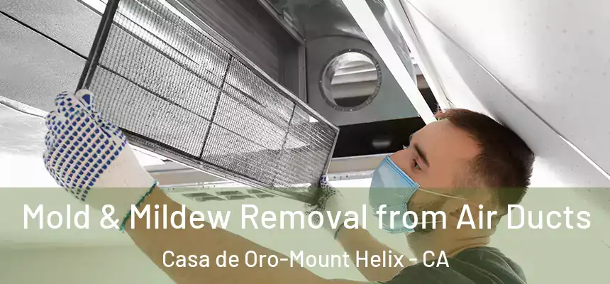 Mold & Mildew Removal from Air Ducts Casa de Oro-Mount Helix - CA