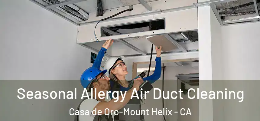Seasonal Allergy Air Duct Cleaning Casa de Oro-Mount Helix - CA