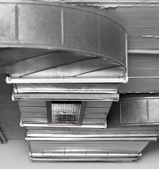 Professional Air Duct Pet Hair Removal in Casa de Oro-Mount Helix, CA