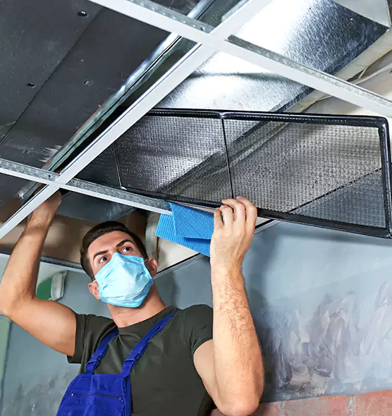 Professional Air Duct Pollen Cleaning in Casa de Oro-Mount Helix, CA