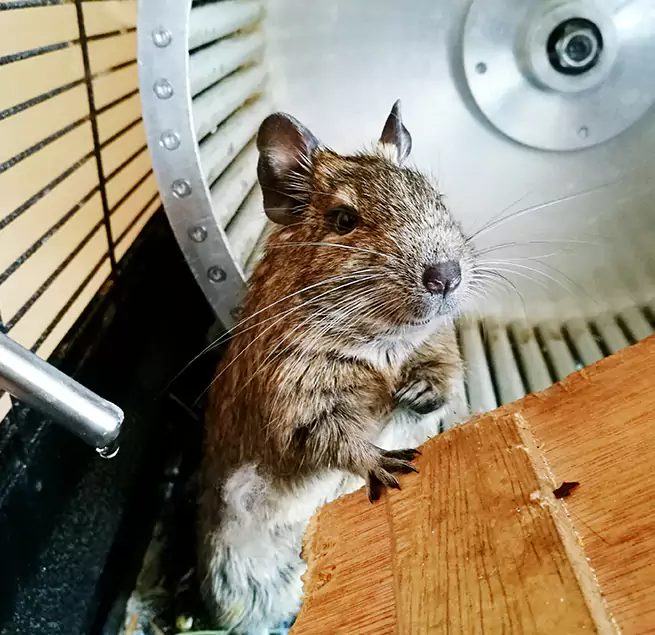 Why Homeowners & Businesses Trust Us Casa de Oro-Mount Helix, CA?