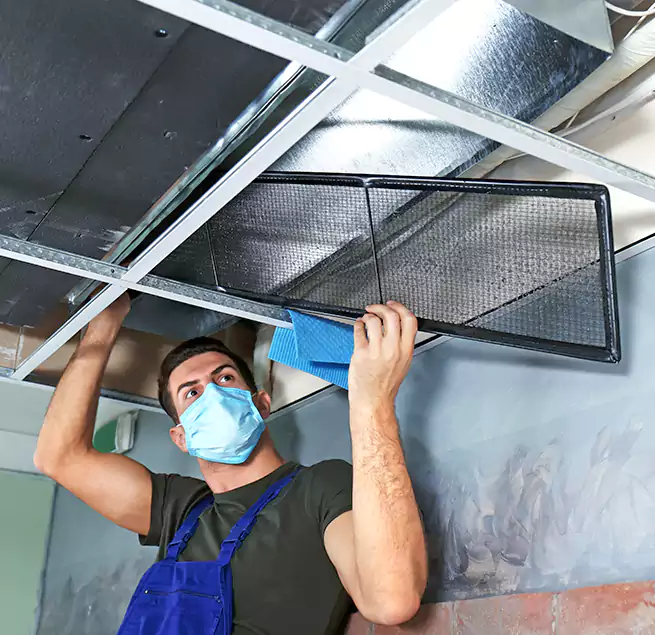 Why Homeowners Businesses Trust Us in Casa de Oro-Mount Helix, CA