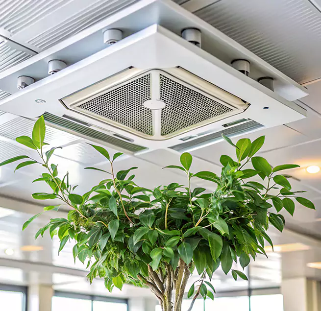 Why Homeowners & Businesses Trust Us in Casa de Oro-Mount Helix, CA