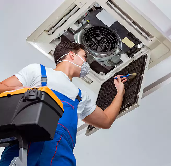 Why Homeowners & Businesses Trust Us in Casa de Oro-Mount Helix, CA?