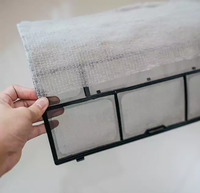 Why Homeowners & Businesses Trust Us in Casa de Oro-Mount Helix, CA?