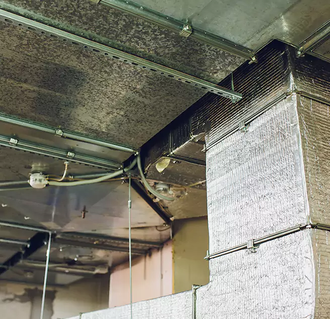 Why Homeowners & Businesses Trust Us in Casa de Oro-Mount Helix, CA?